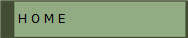  H O M E